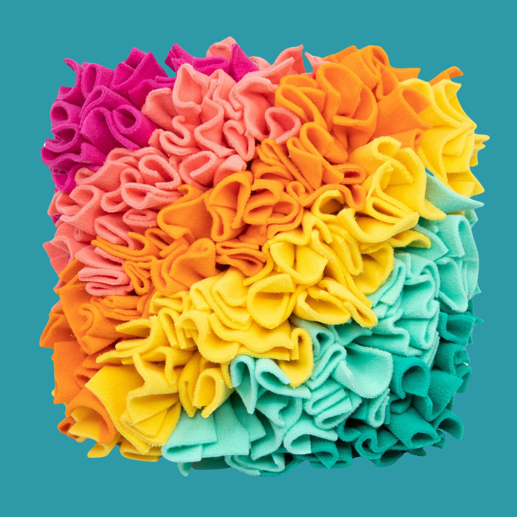 rainbow colored snuffle mat