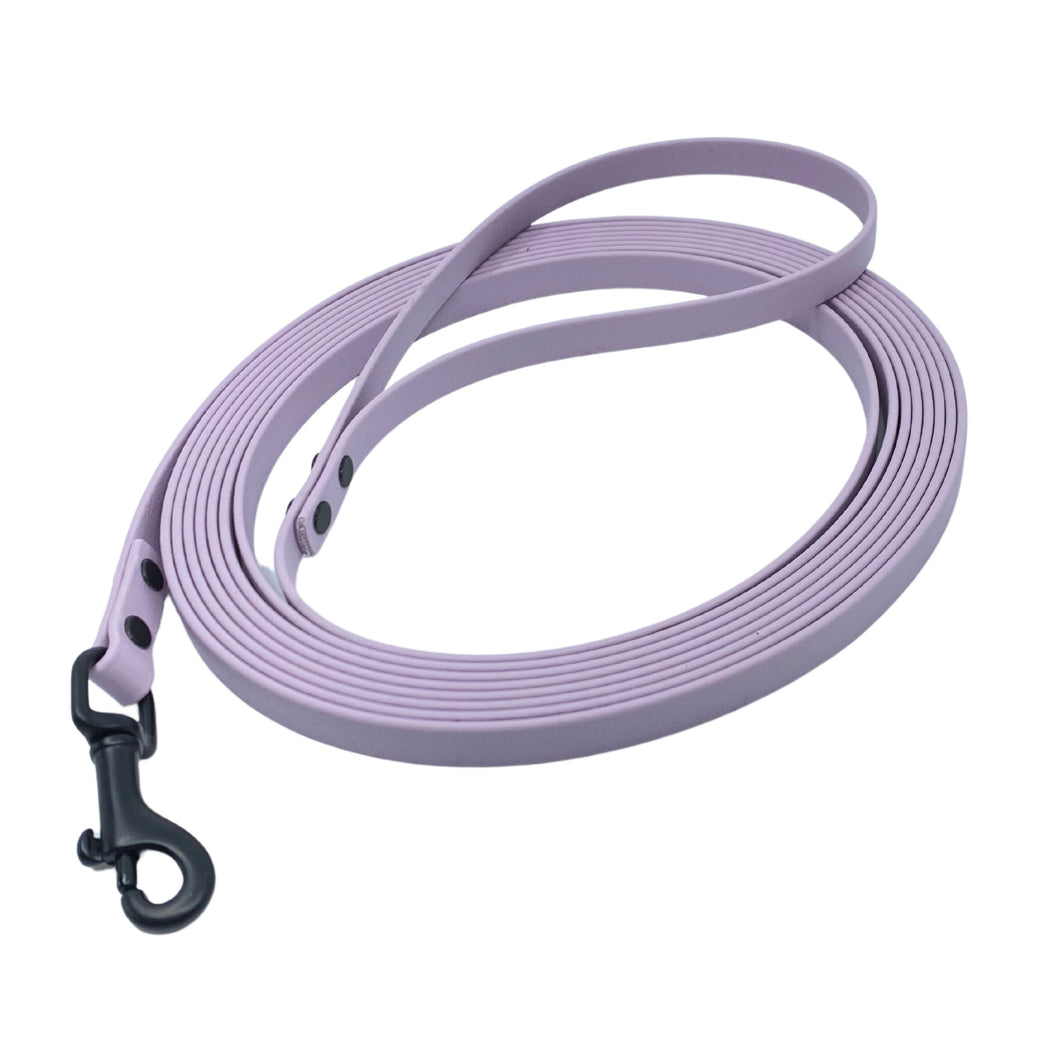Nose Work Leash