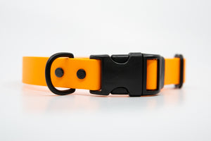 Biothane Collar