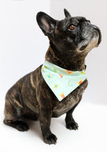 Load image into Gallery viewer, Cutie Candy Canes Bandana
