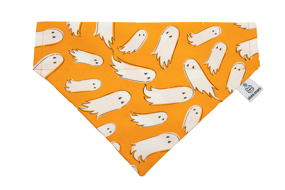 Bring Your Own Boos Bandana