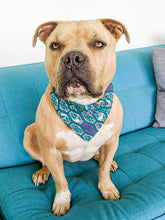 Load image into Gallery viewer, I Wanna Walk, I Mean Rock! Bandana

