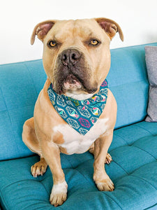 Too Hipster to be Square Bandana