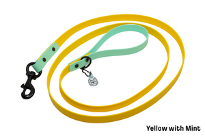 Spring In Your Step Leash