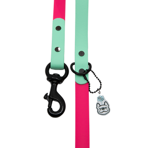 Mint Tulip Leash
