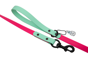 Mint Tulip Leash