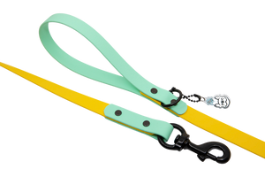 Spring In Your Step Leash