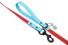 Load image into Gallery viewer, Ruby Bluesday Leash
