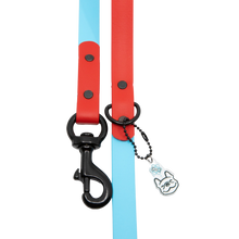 Load image into Gallery viewer, Ruby Bluesday Leash
