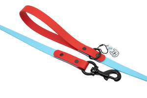 Ruby Bluesday Leash